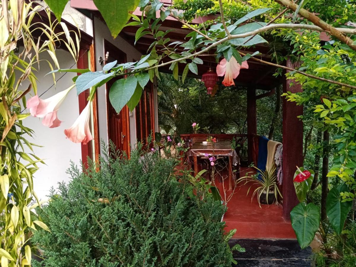 엘라 Littleadems View B&B 외부 사진